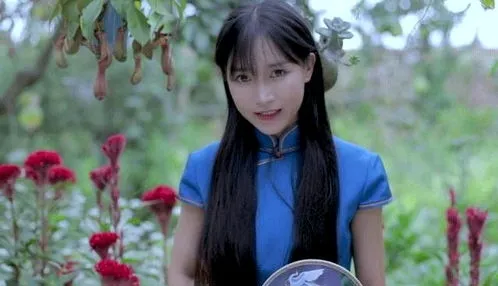 优选助手使用方法：李子染的乡村视频成功之路，热爱与努力能否复制？