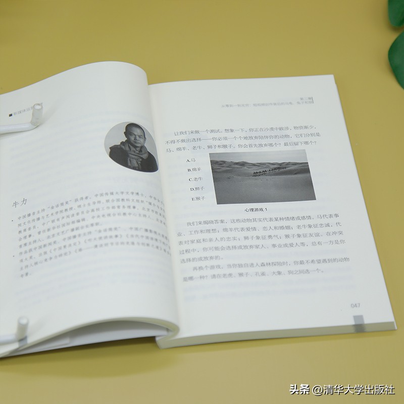 小J助手：新媒体运营管理，短视频创作与商业IP打造的实用指南