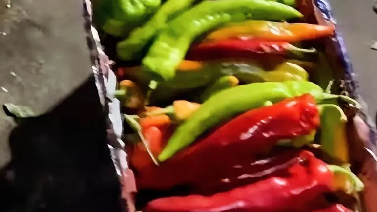 51助手怎么用：北京菜市场捡菜潮流，年轻人如何颠覆传统观念与生活方式
