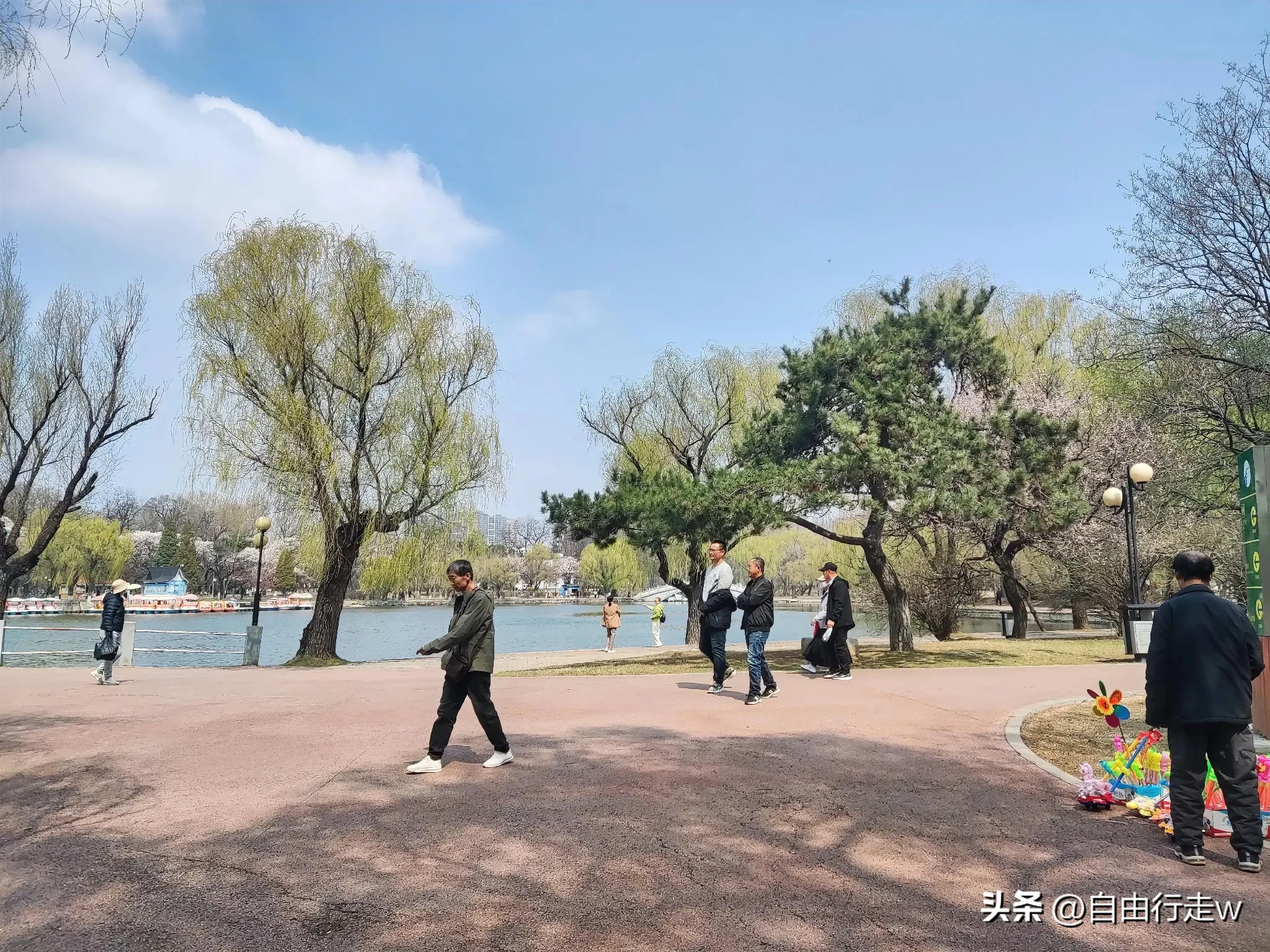 超评助手出评软件：警惕假冒商务商会运营，揭露传销变种的真相与危害