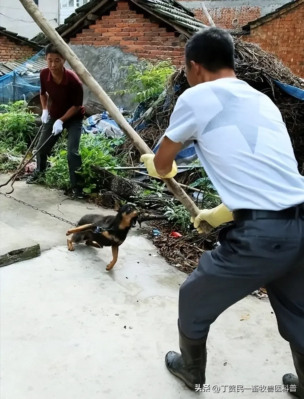 易单助手下载：良心企业家为何屡遭无端攻击？胖东来与东方甄选的品质坚守之路