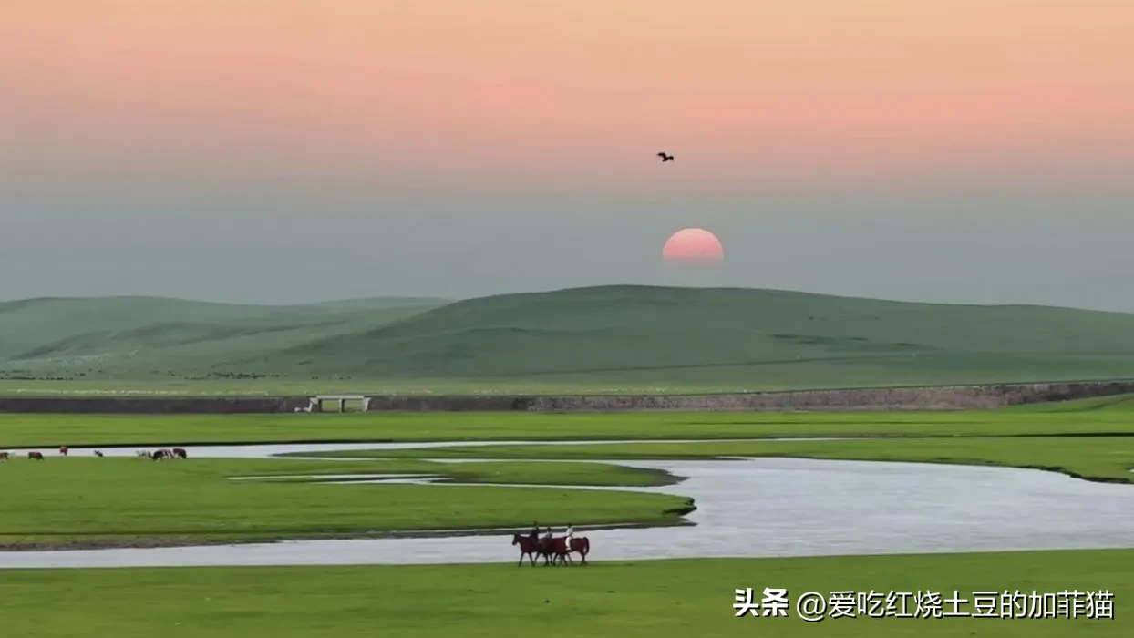 超评助手入口：保持清醒心态，投资成功的关键在于总结经验与控制风险