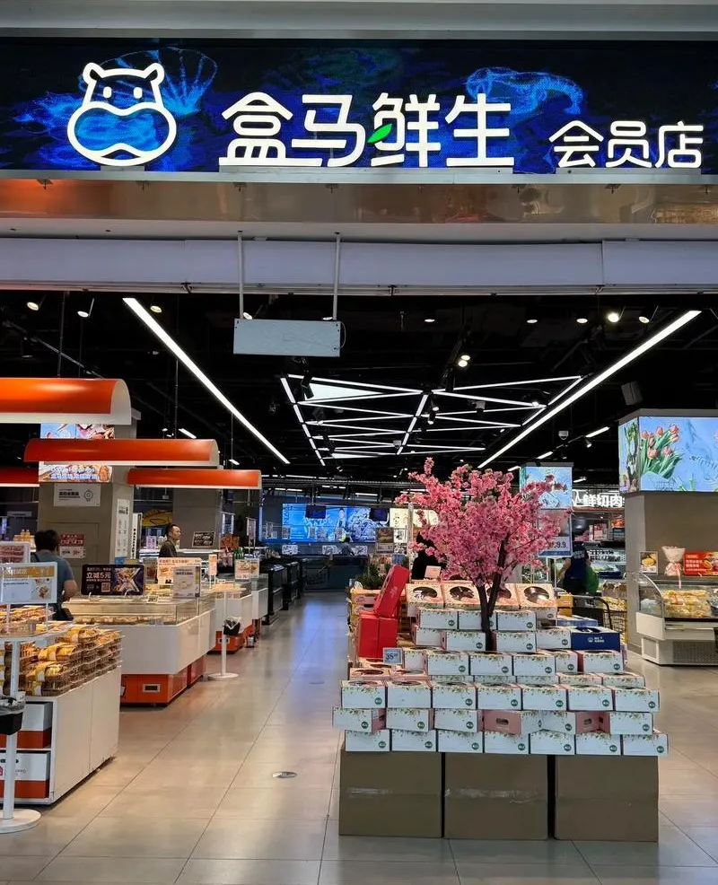 易出评：本土超市困境与外资逆袭，揭示竞争背后的秘诀与未来出路