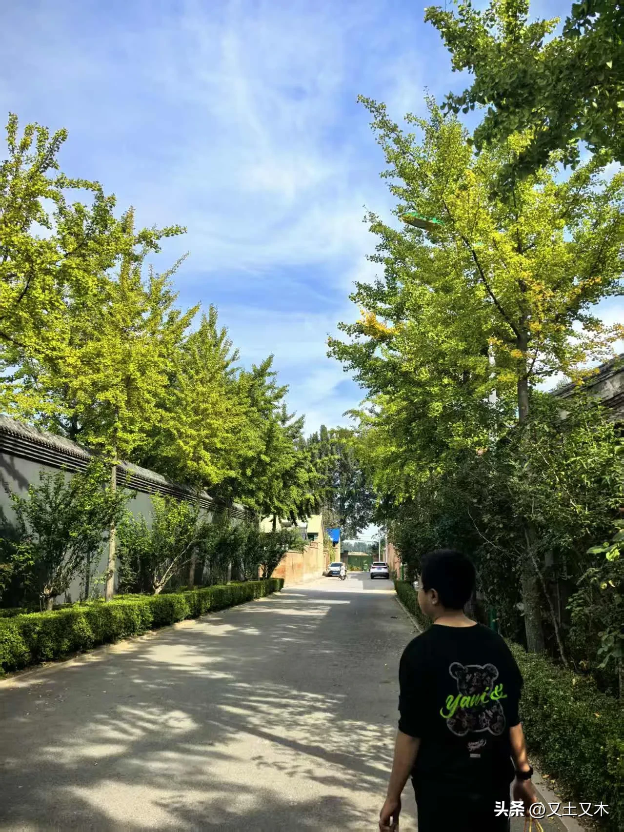 多宝助手：如何选择行业才能实现财富自由？成功与失败的关键在于竞争和认知