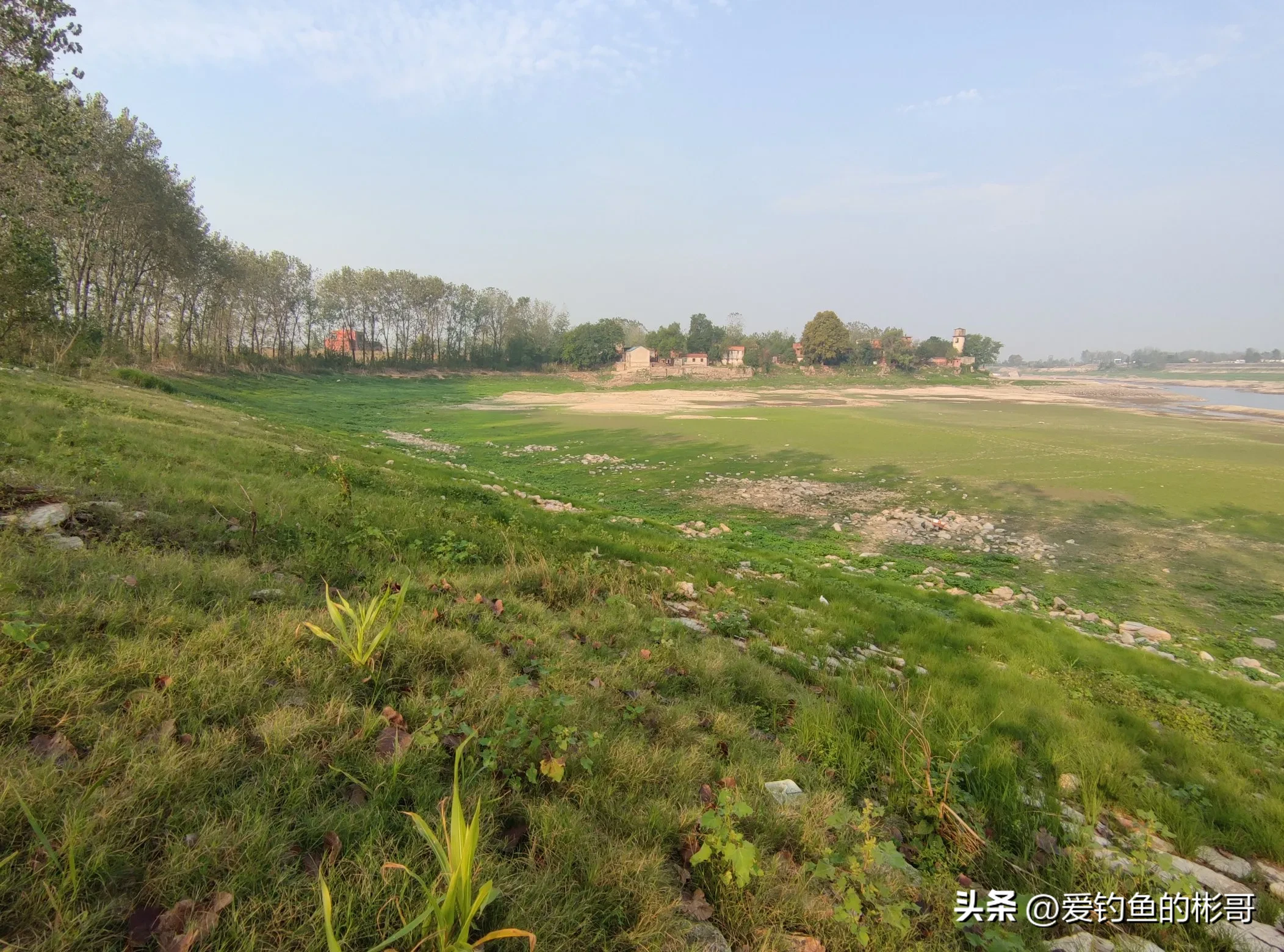 小评评助手出评软件：人生真谛，从健康到放下，五层生命智慧的全面探索