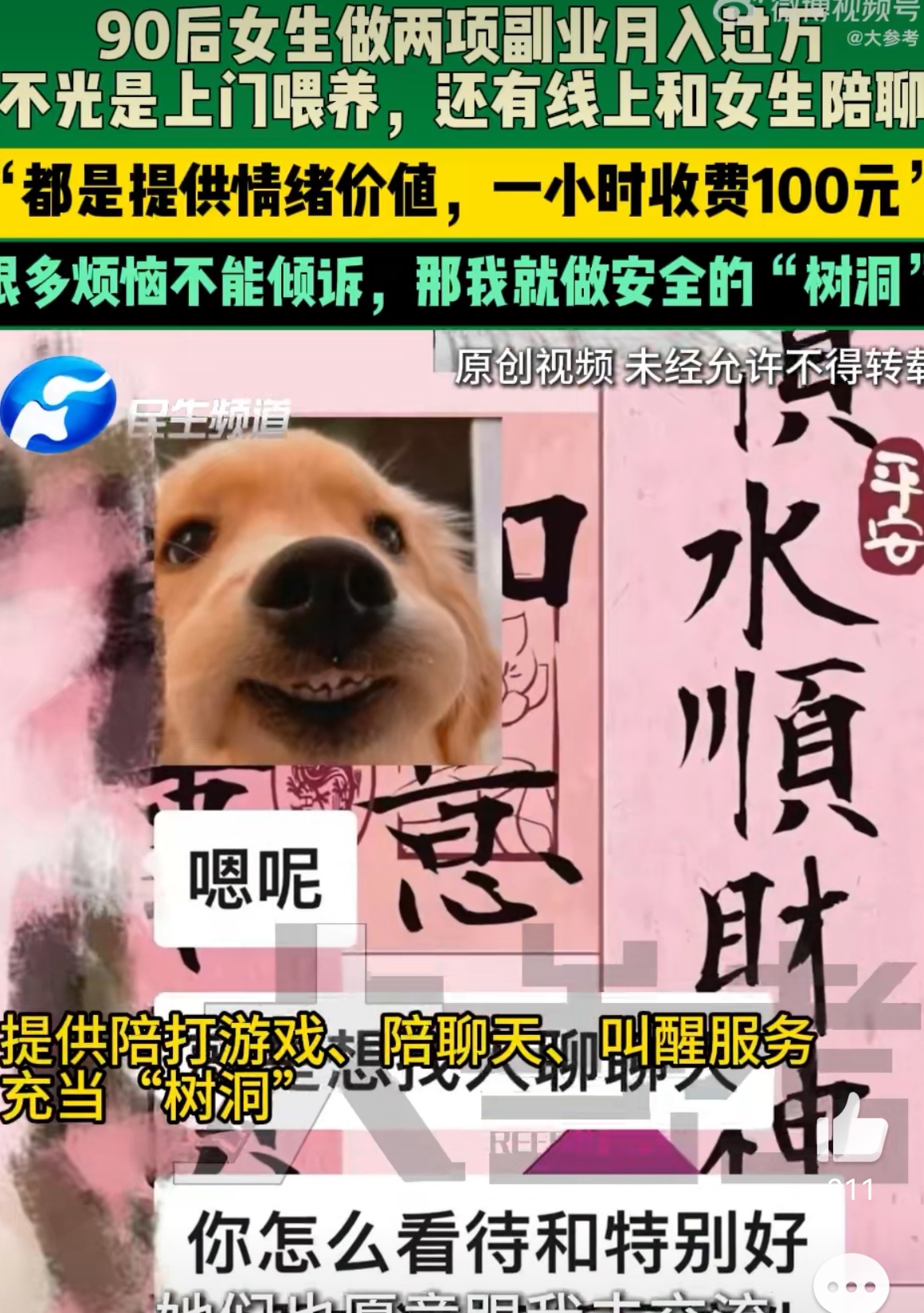领先助手：90后特教老师副业月入过万，情感陪聊与宠物喂养的成功秘诀
