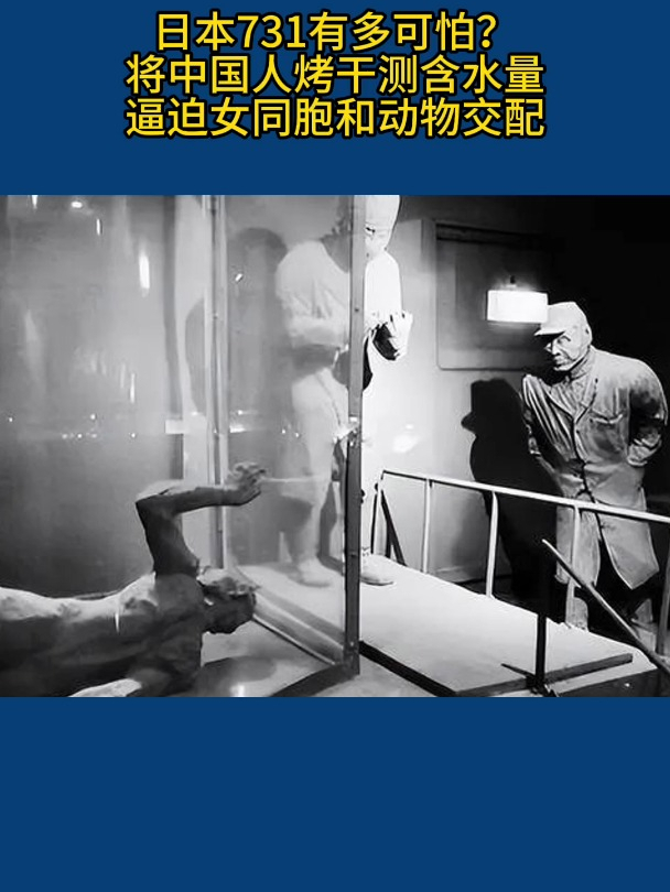 大麦助手靠谱吗：731部队干燥实验揭露的人体含水量背后的惨痛历史与人权警示