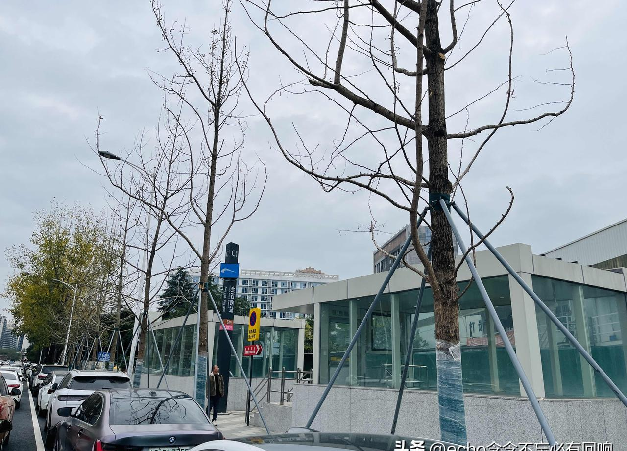 易评助手官网入口：成都工业园区转型，从“锈带”到科技生活圈的蜕变