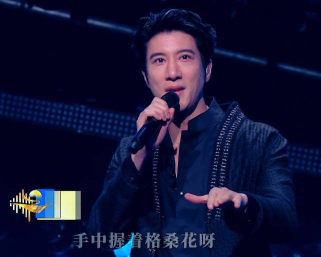超评助手卡密：王力宏家世揭秘，音乐才子与历史学家的豪门背景交织