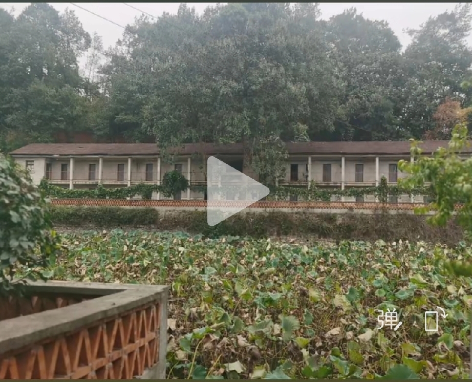 团粉助手：三线岁月的选择与遗憾，从湖北到郑州的回忆旅程