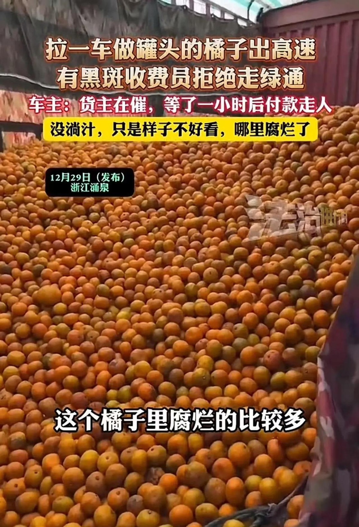 超单助手：高速收费站货车司机因橘子黑斑被罚，绿通政策是否应更灵活？