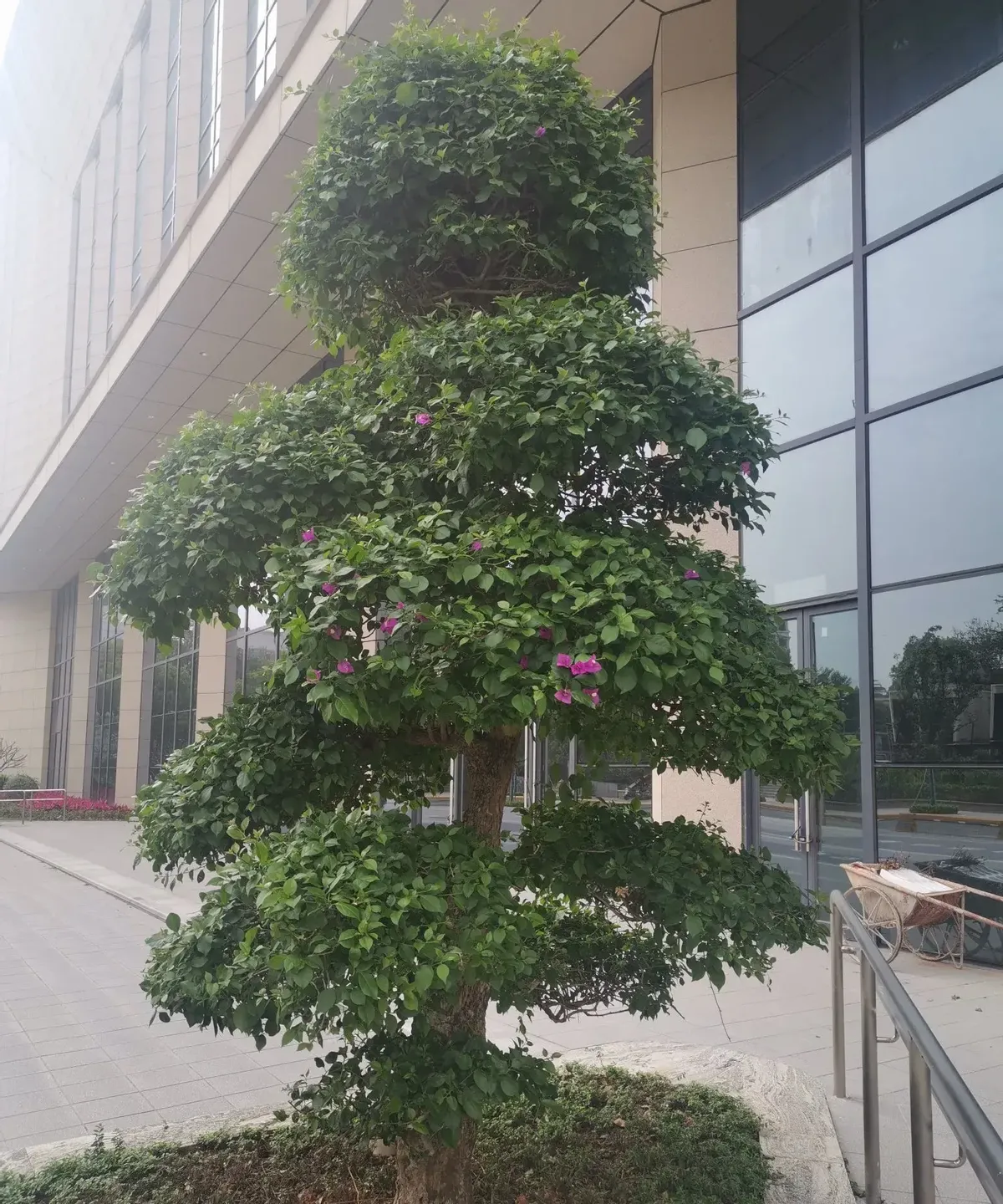 新小x助手补单软件：如何识破网红餐饮的虚假排队营销套路与避雷技巧