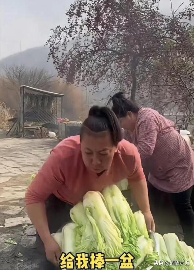 番茄管家最新版本：东北雨姐翻车真相揭秘，8个真相揭示网红经济的泡沫与虚假