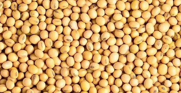 多多出评助手邀请码：美国大豆出口急剧下滑，巴西成功夺取中国市场份额与未来趋势分析