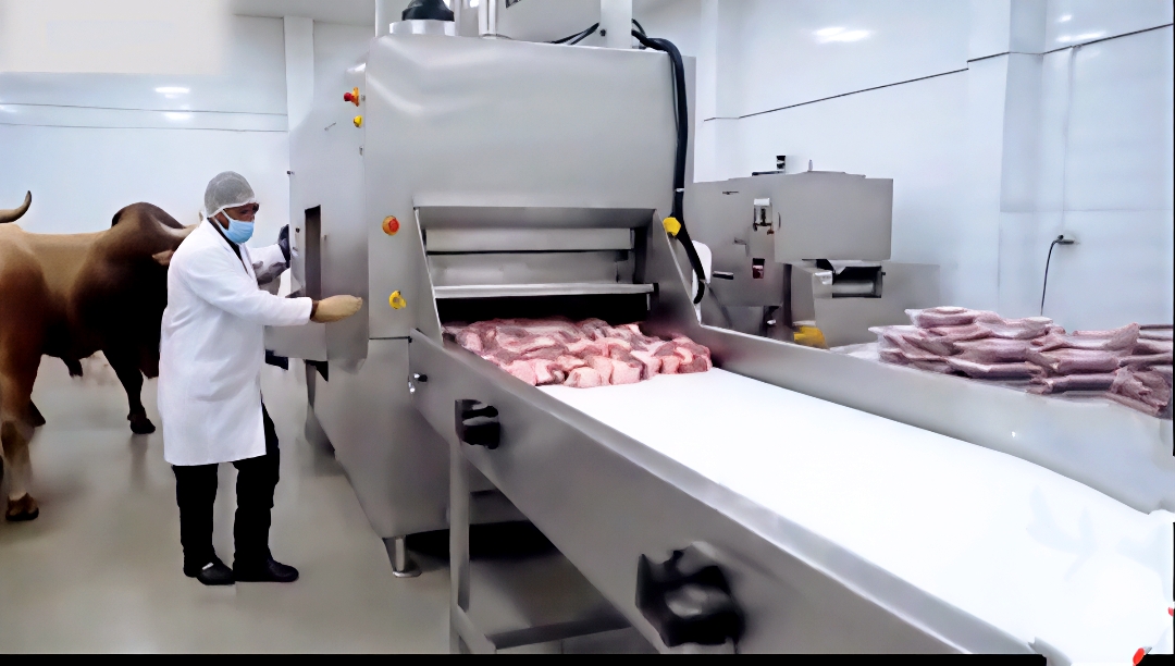 易出评：现代屠宰技术揭秘，“杀牛不见血”的创新与中国科技力量