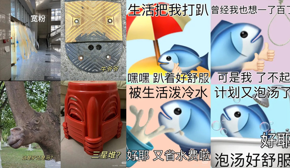 小G助手官网入口：2024年度词汇解析，接、抽象与脑腐的深层含义与影响