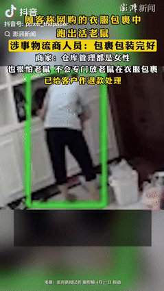 易单助手官网：快递包裹惊现活老鼠，女子遭遇恐慌与商家退款风波