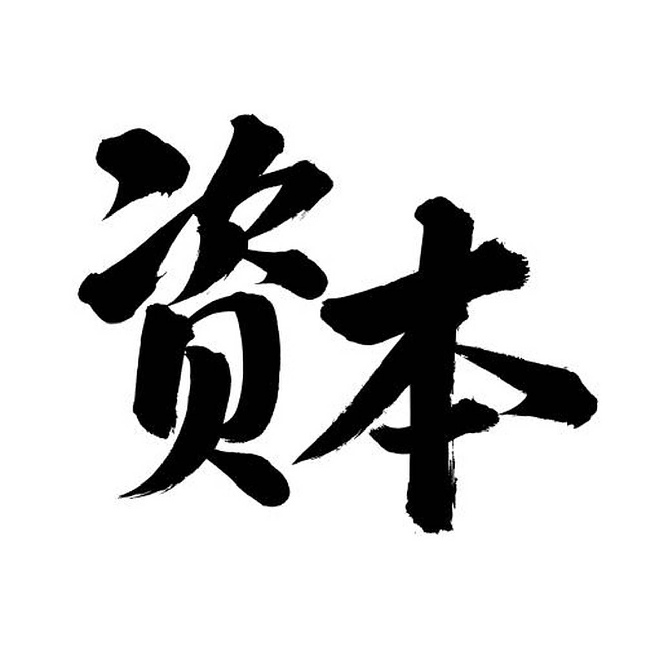 无名助手：资本的多维度理解，定义、作用及社会影响解析