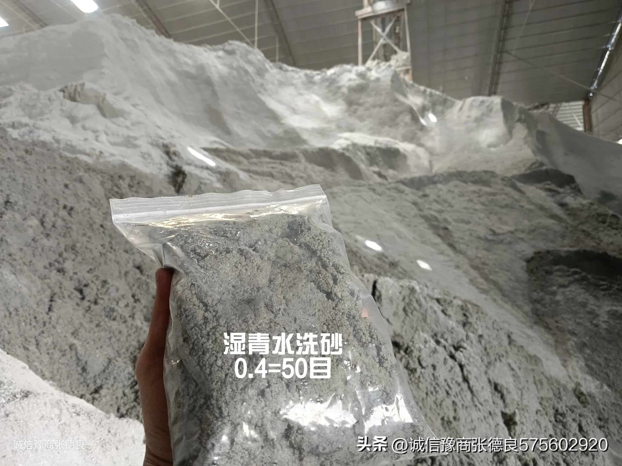 多评助手：坚持与成长，张德良的诚信商业哲学与写作心路