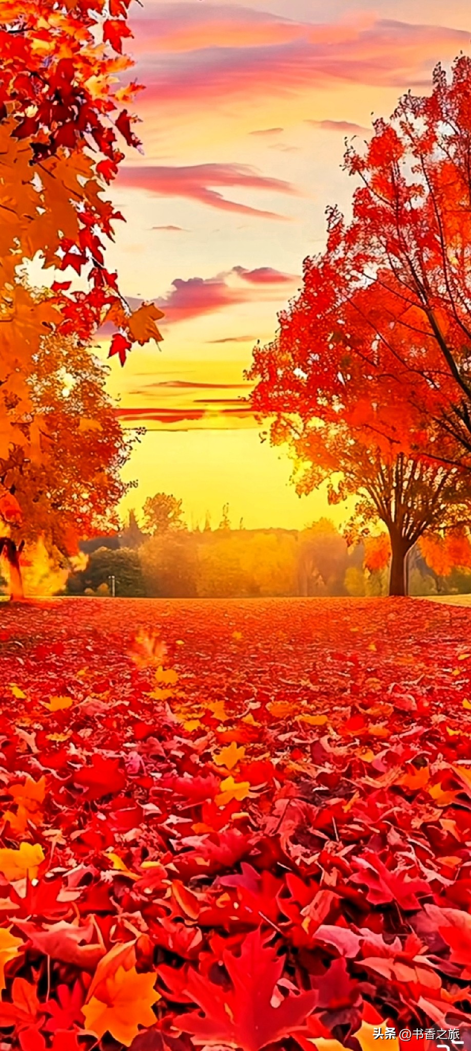 易单助手：小红书禁言事件，反对剽窃的正当声音与平台的不公对抗