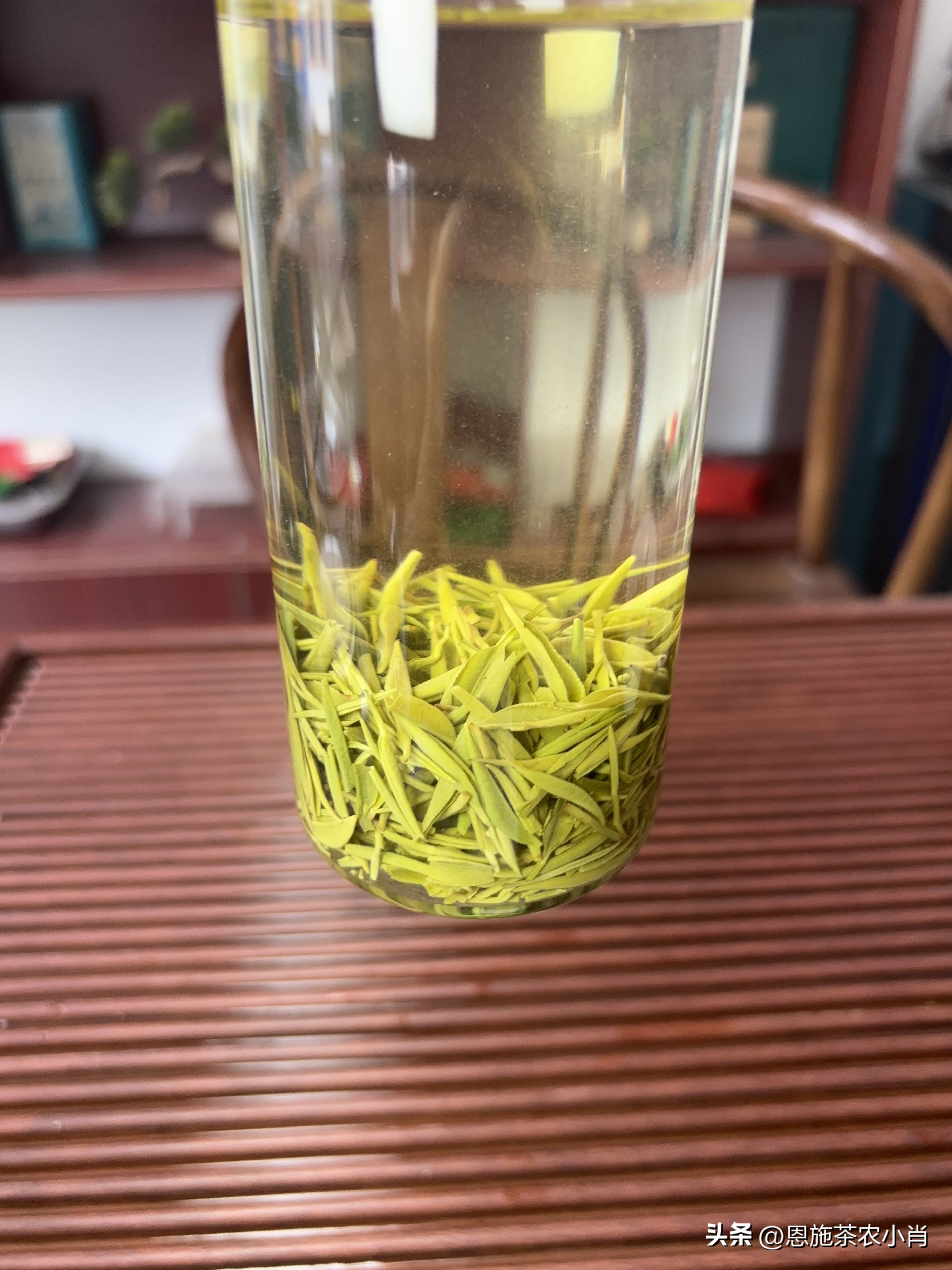 多多出评工具：茶叶行业的真实利润与市场竞争，一位从业者的深刻反思
