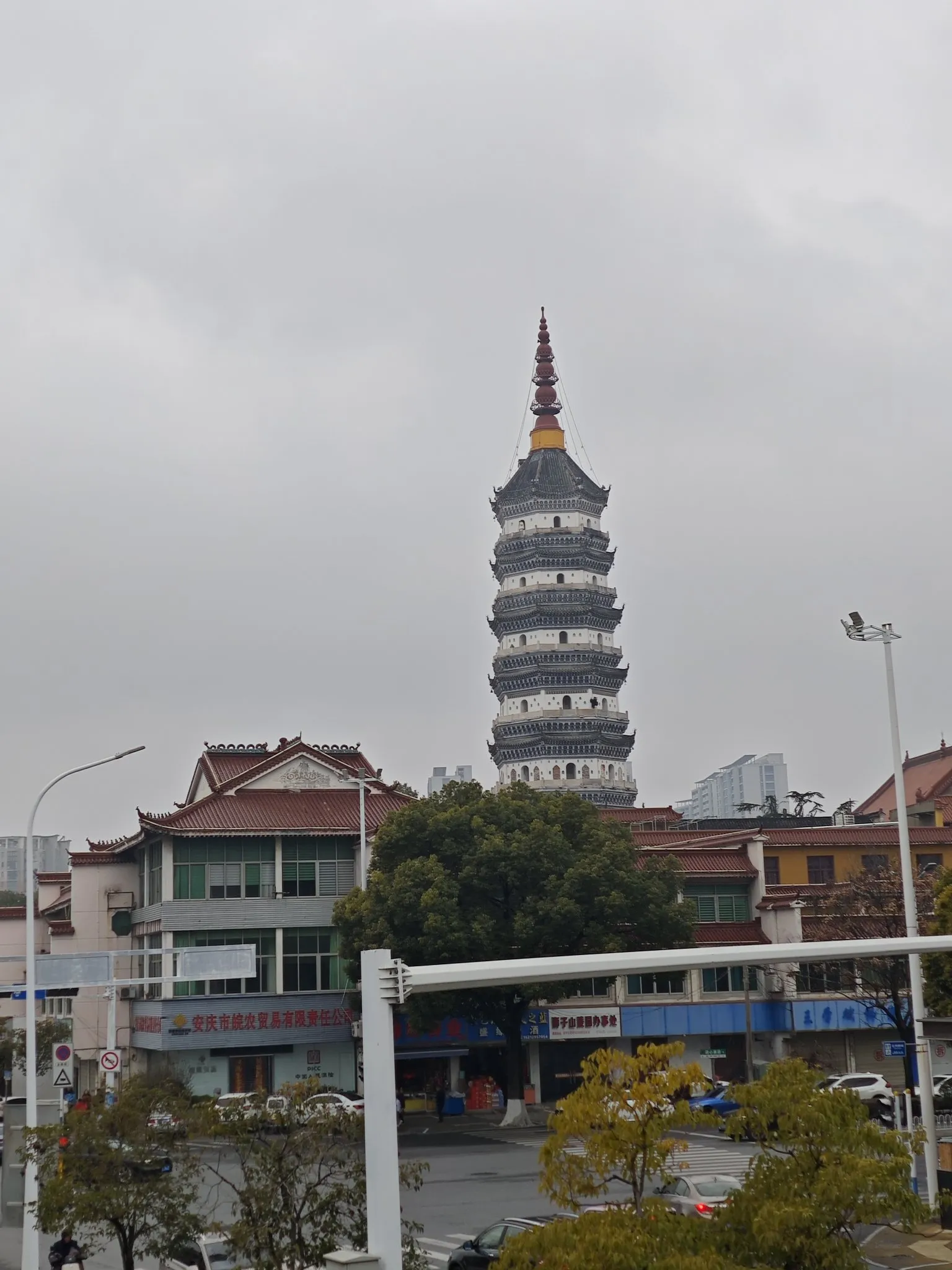权重大师软件官网：在快节奏时代中寻找内心的宁静与快乐