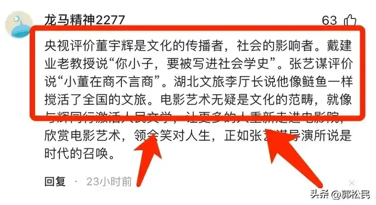 易出评软件：董宇辉的自我中心论引发的社会文化反思与名人认知的讽刺