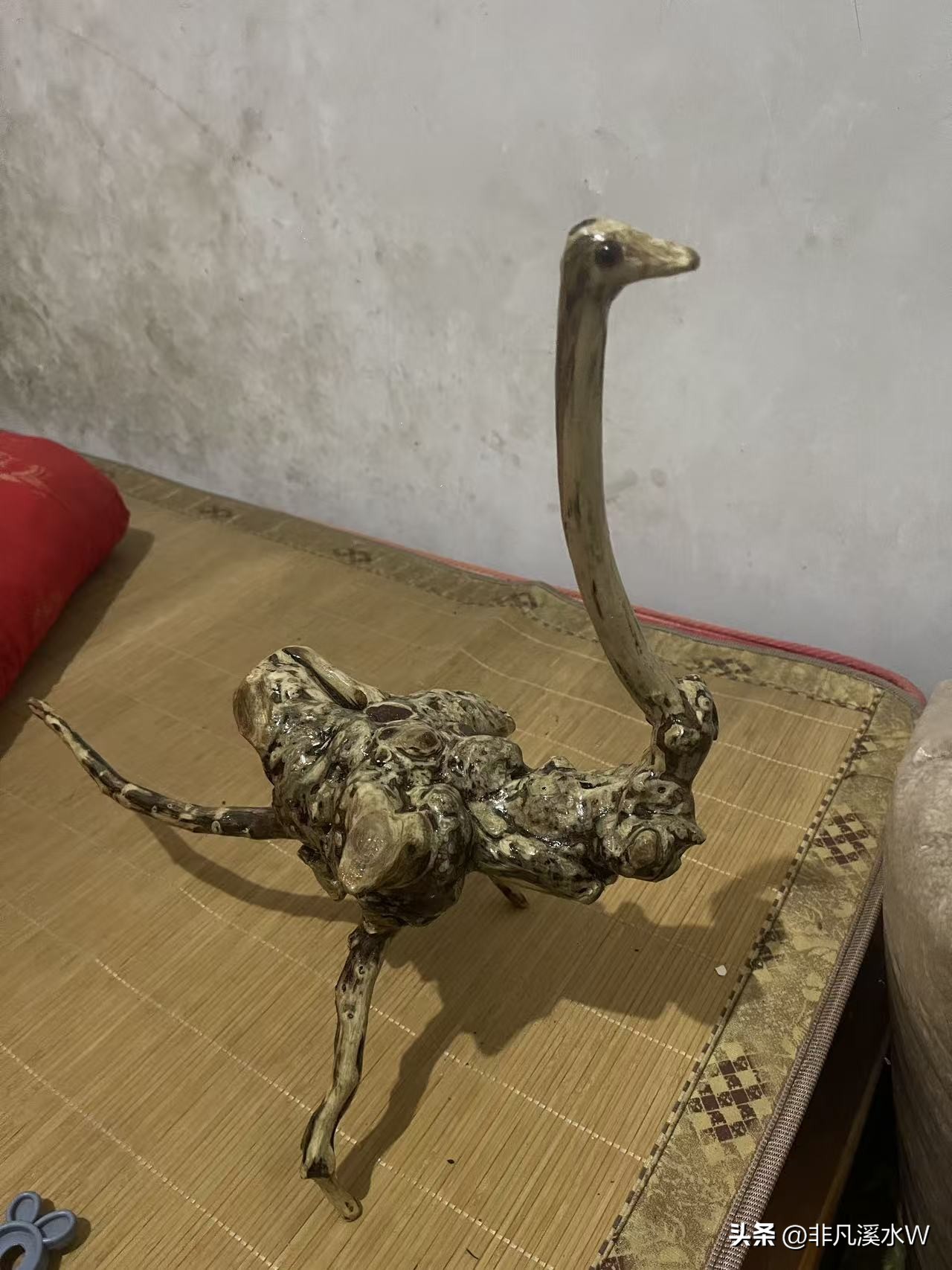 易单助手：追寻内心的快乐与人生意义，老乡挖黄荆的生活启示