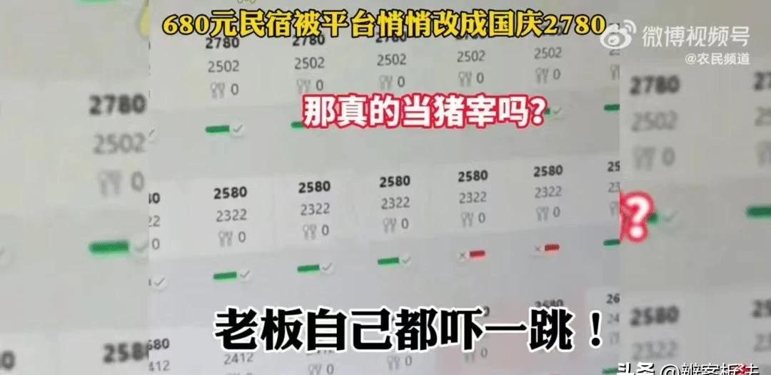 番茄管家补单软件：民宿老板怒怼平台涨价，呼吁诚信与责任，创业者应以道德为先