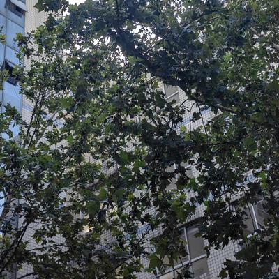 多多动销软件：网购体验，选择优质平台和店铺的重要性与个人感受