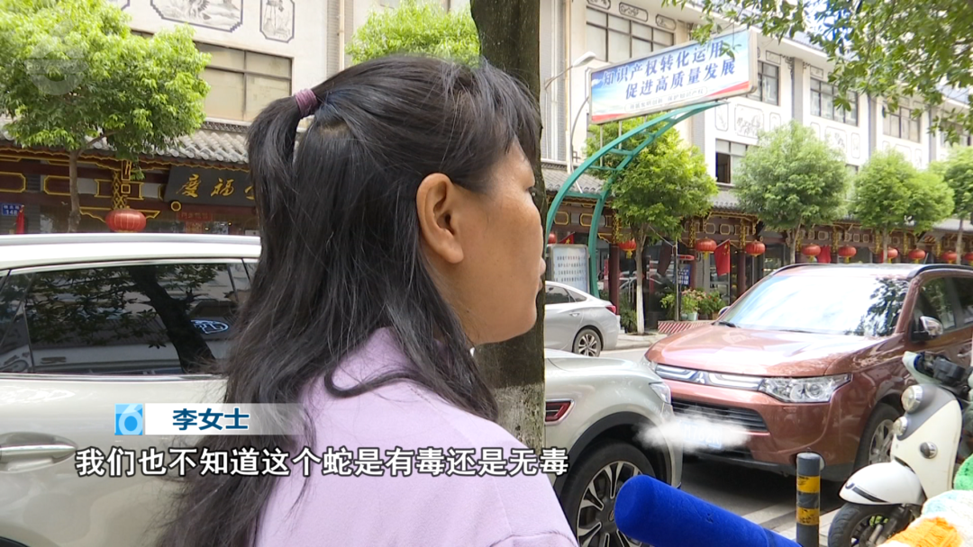 51助手最新版本：昆明女子网购小凳意外拆出活蛇，商家仅退款引发维权关注