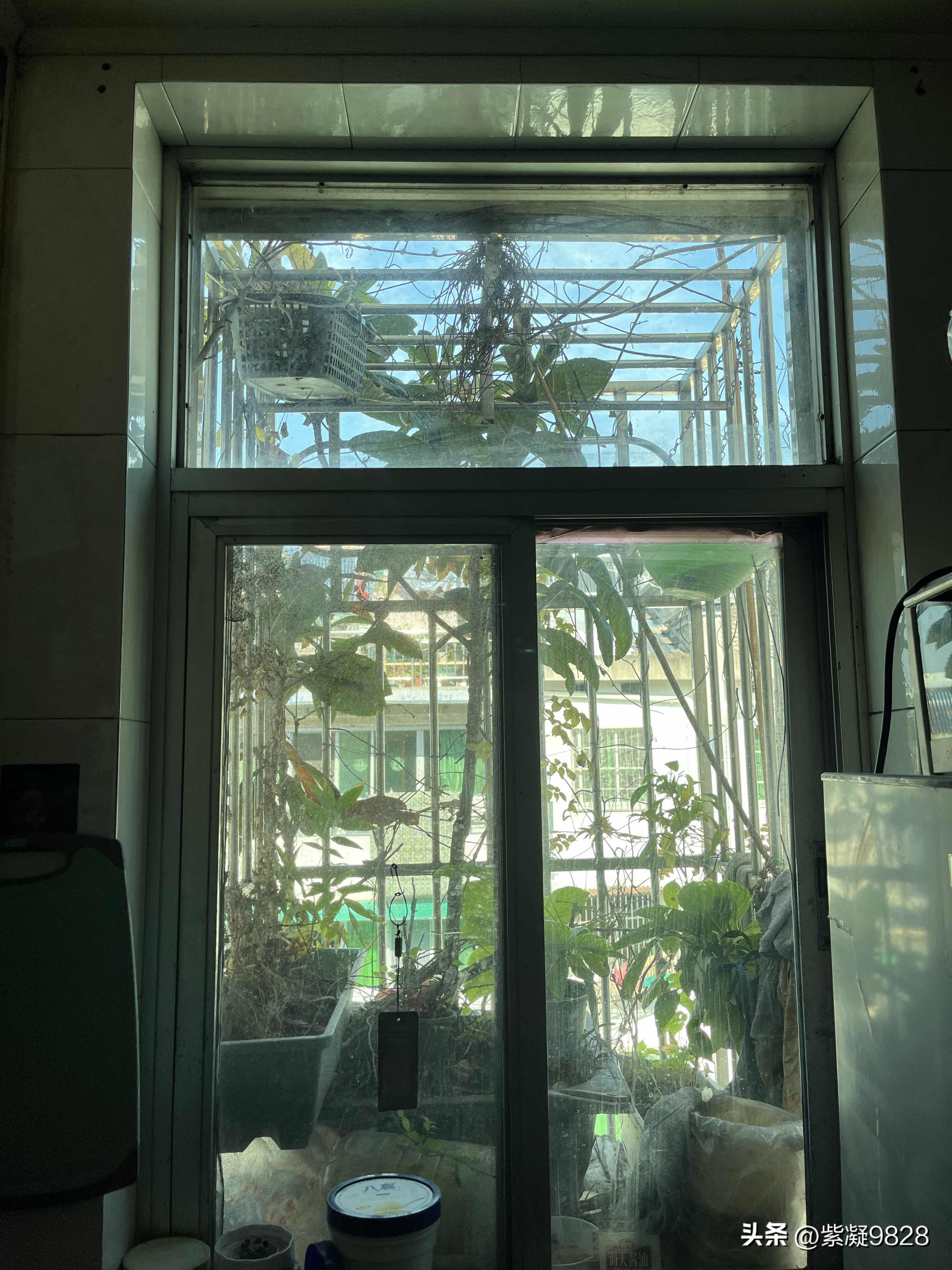 茄子助手使用方法：春天鸟窝的故事，我对生活趣味的重新思考与期待