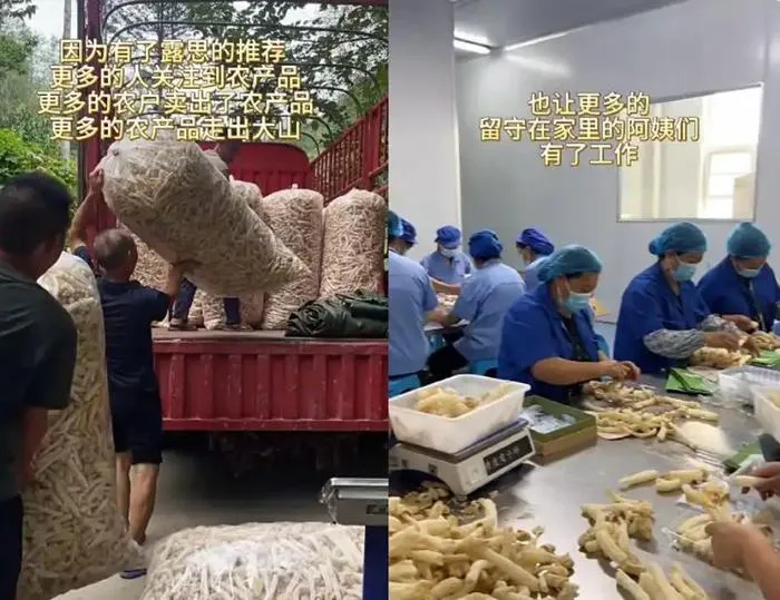 51助手官网：赵露思直播带货助农，人民日报点赞其公益行动！