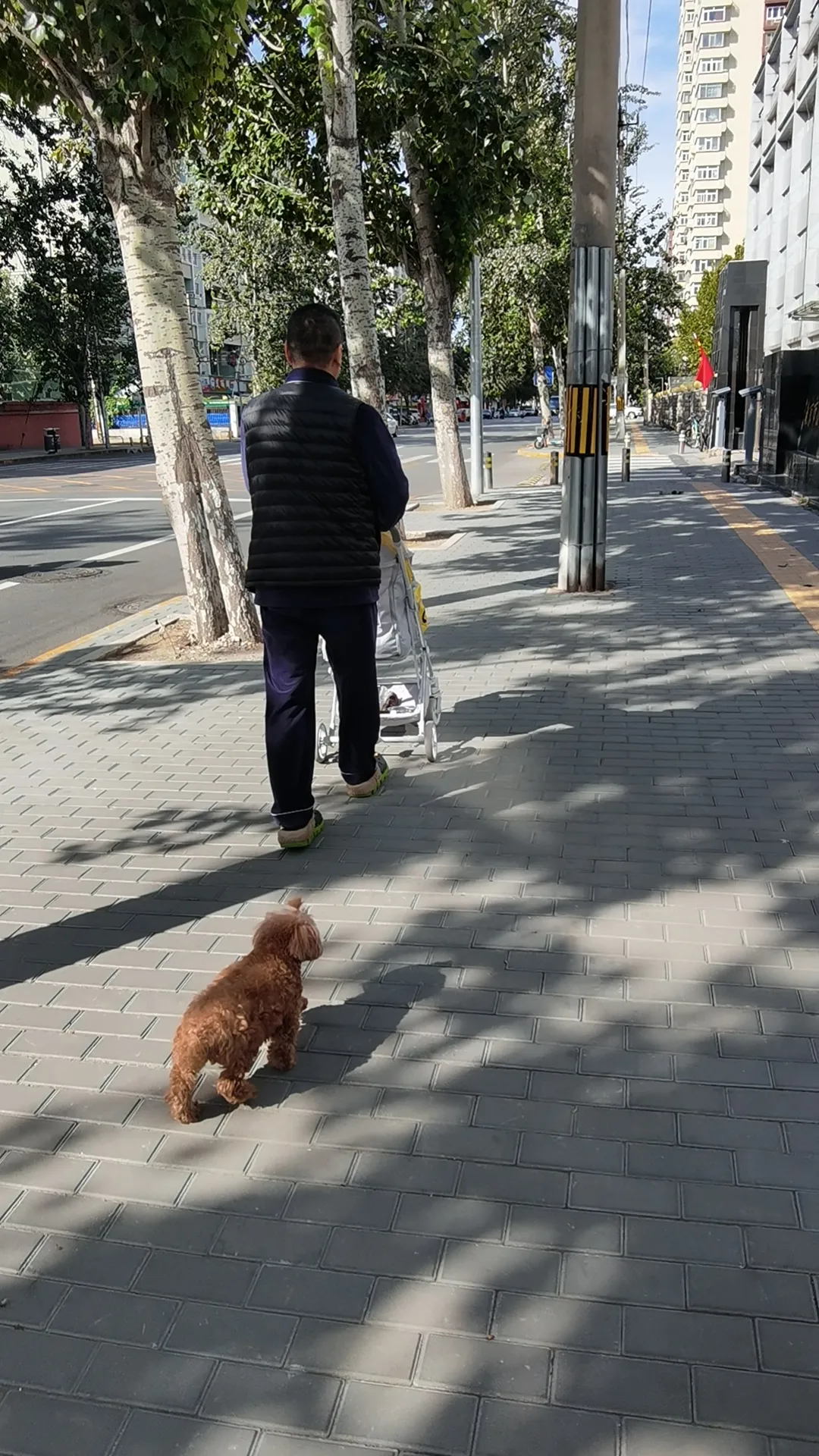 多评助手软件：退休生活大变身，从职场压力到家庭乐趣的完美转型