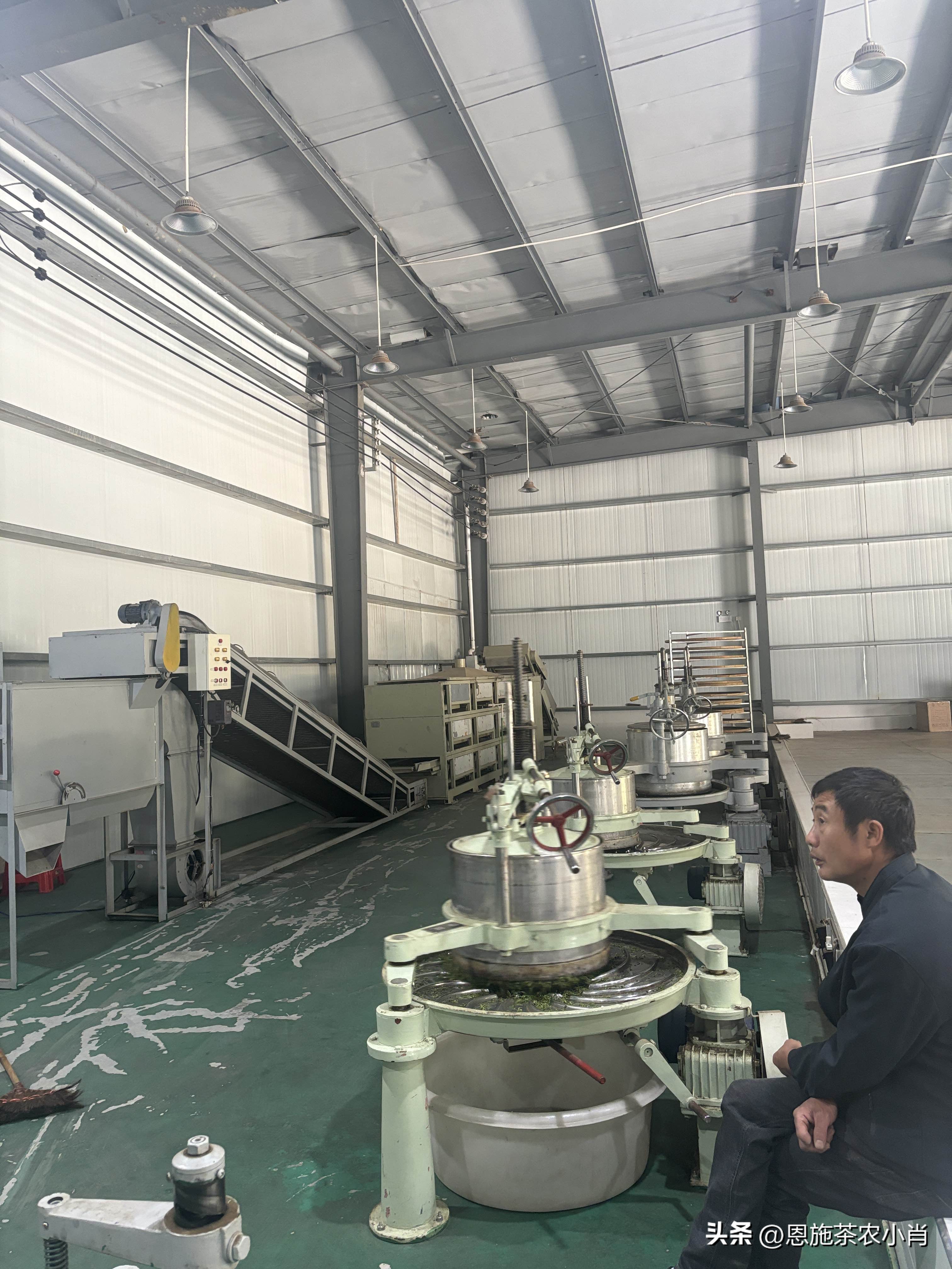 多多出评工具：茶叶行业的真实利润与市场竞争，一位从业者的深刻反思