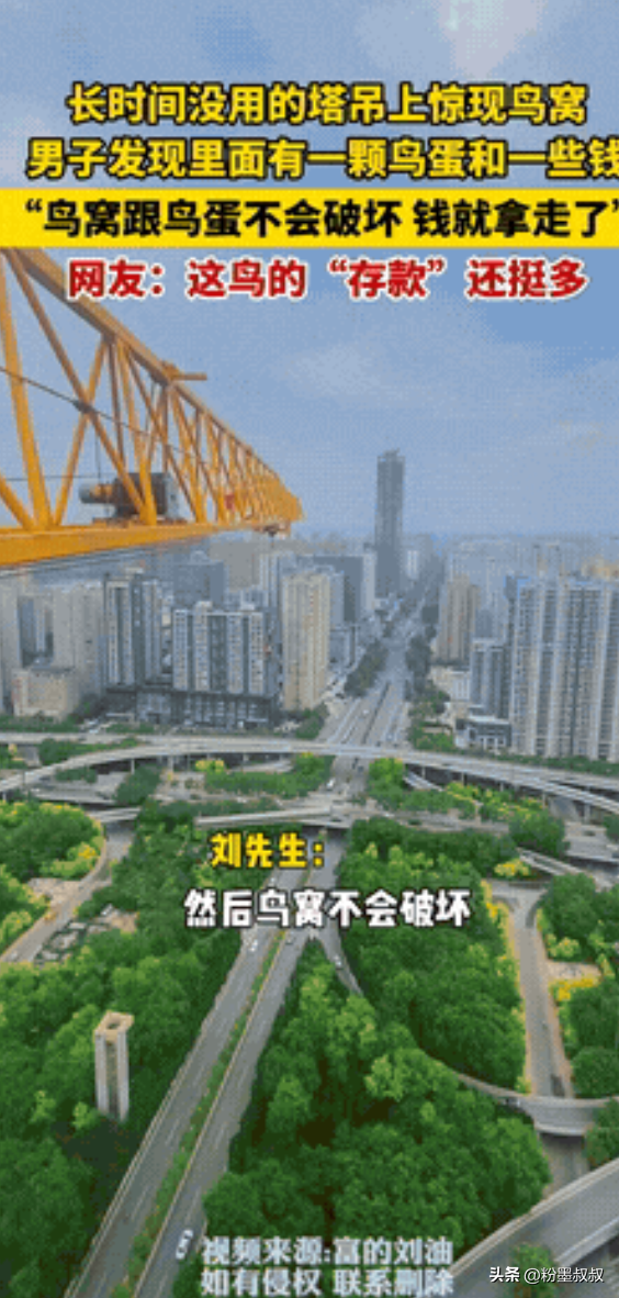 易评助手软件下载：西安塔吊师傅意外发现喜鹊窝，竟藏现金和鸟蛋，网友直呼躺着赚钱！
