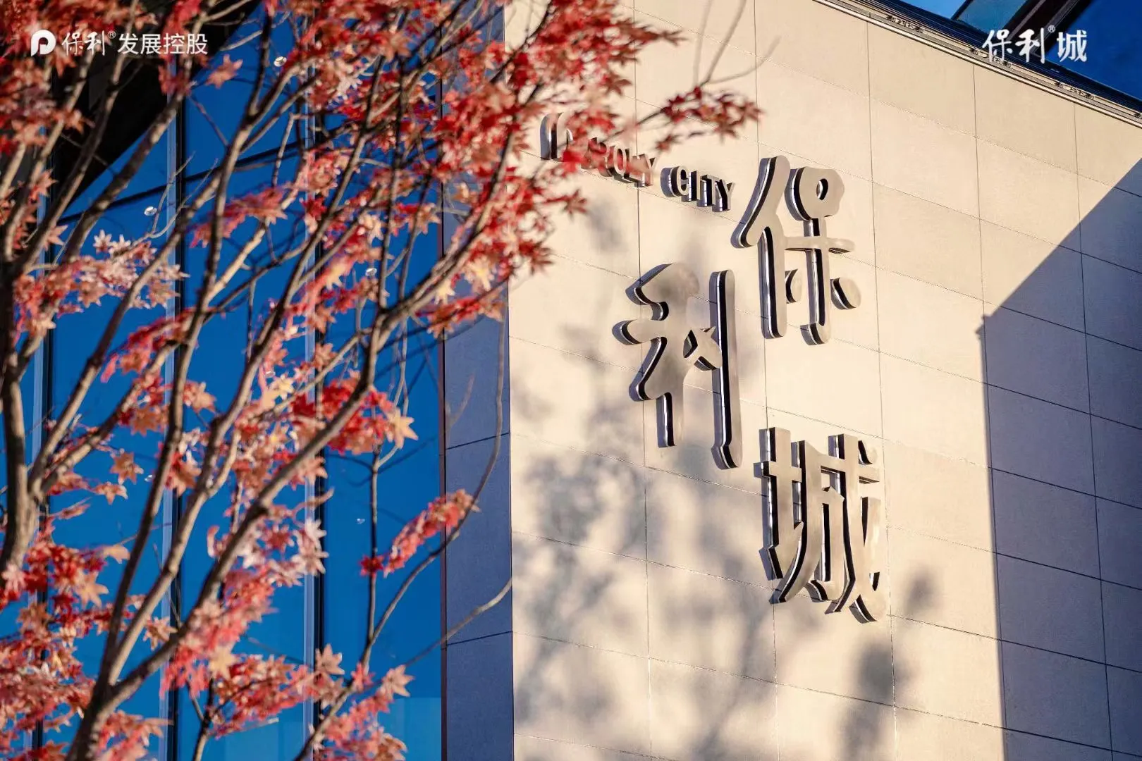权重大师：保利城新营销策略，打破传统实现品牌差异化与文化连接