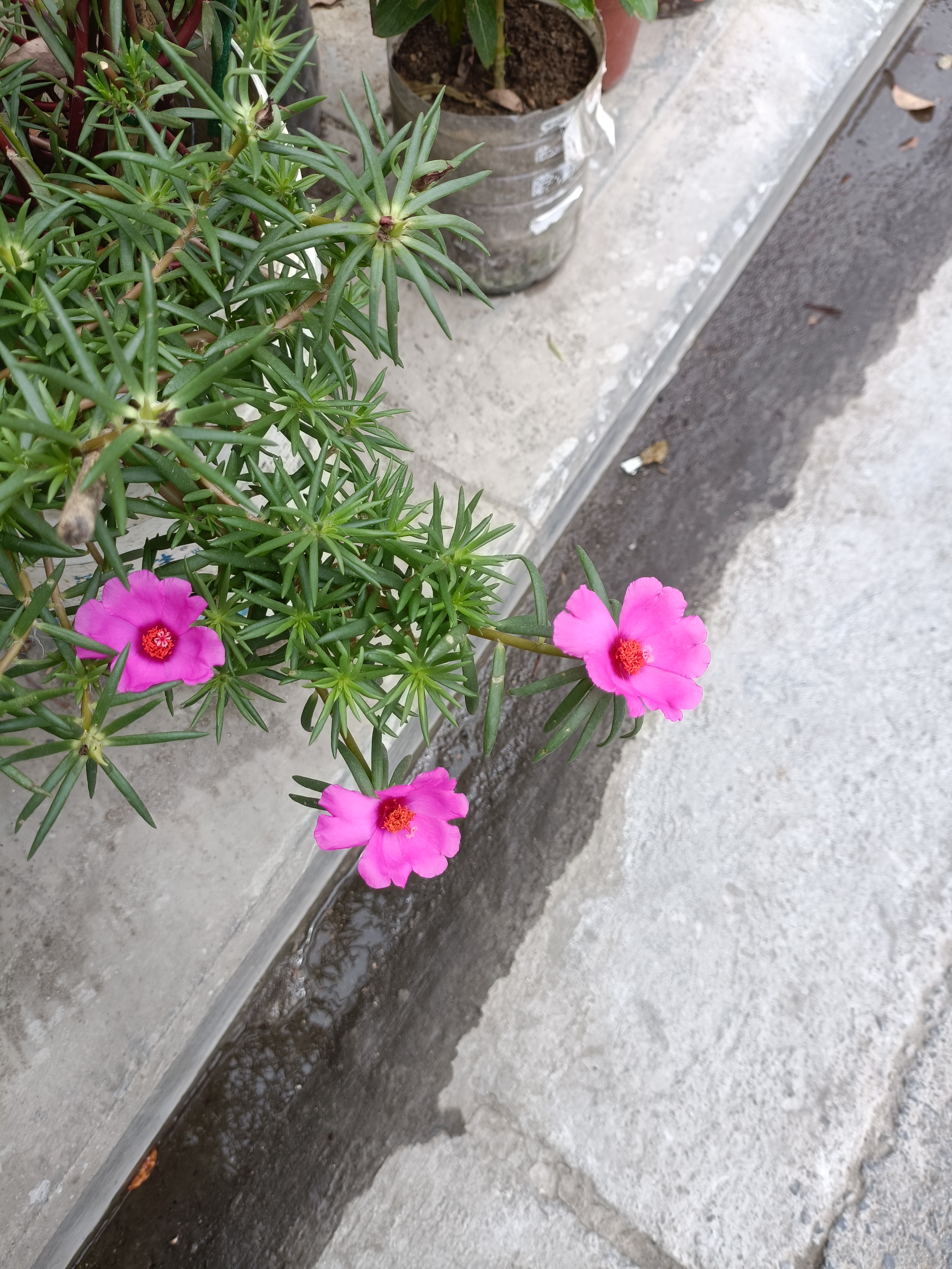 东风助手：中医药产品销售，坚持口碑与亲身体验的经营理念