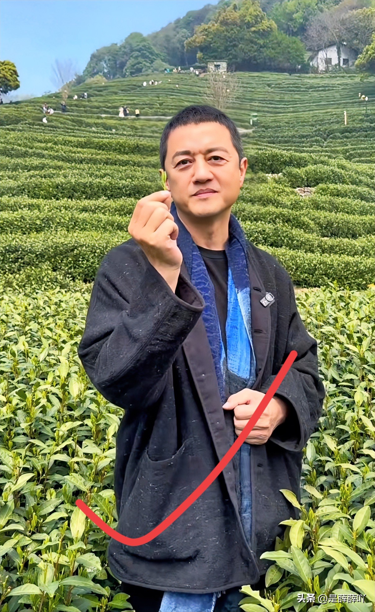 新小x助手：李亚鹏的带货困境，为何单一茶叶难以翻身？