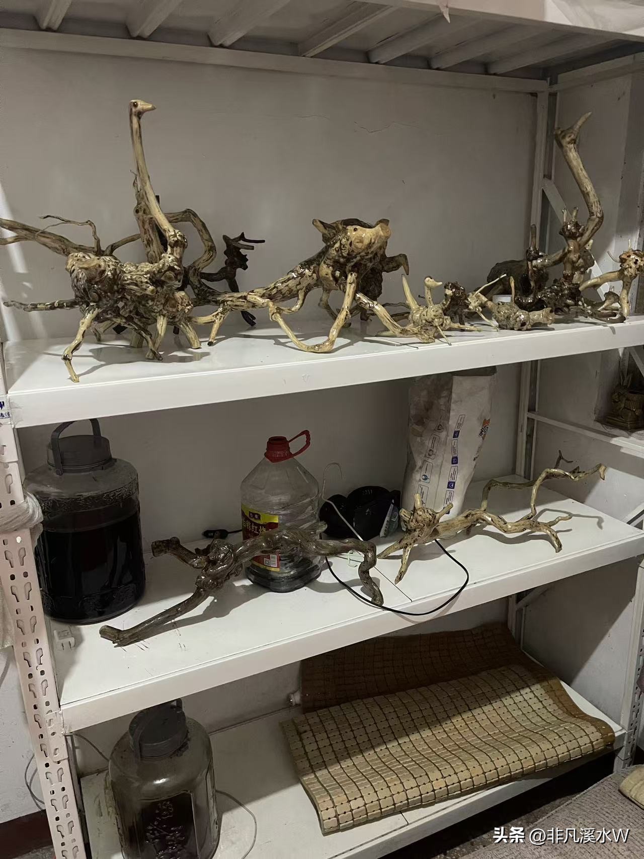 易单助手:追寻内心的快乐与人生意义,老乡挖黄荆的生活启示 易单助手:追寻内心的快乐与人生意义,老乡挖黄荆的生活启示