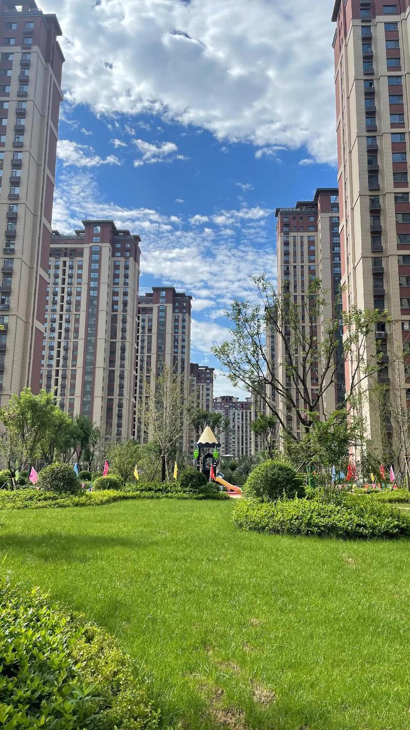 多多出评助手：洛阳买房全攻略，区位分析与楼盘性价比深度解析