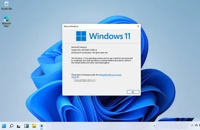 拼多多开团软件：Windows 10即将停止支持，升级Windows 11是你的最佳选择！