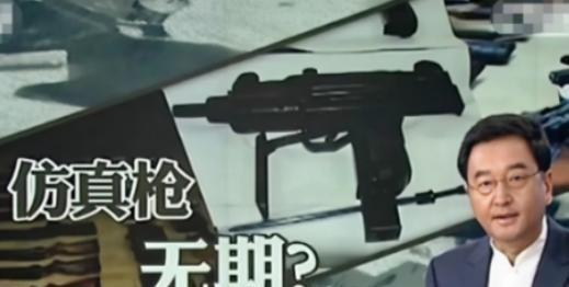 领航助手：18岁小伙网购玩具枪被判无期，法律与人性的冲突引发热议