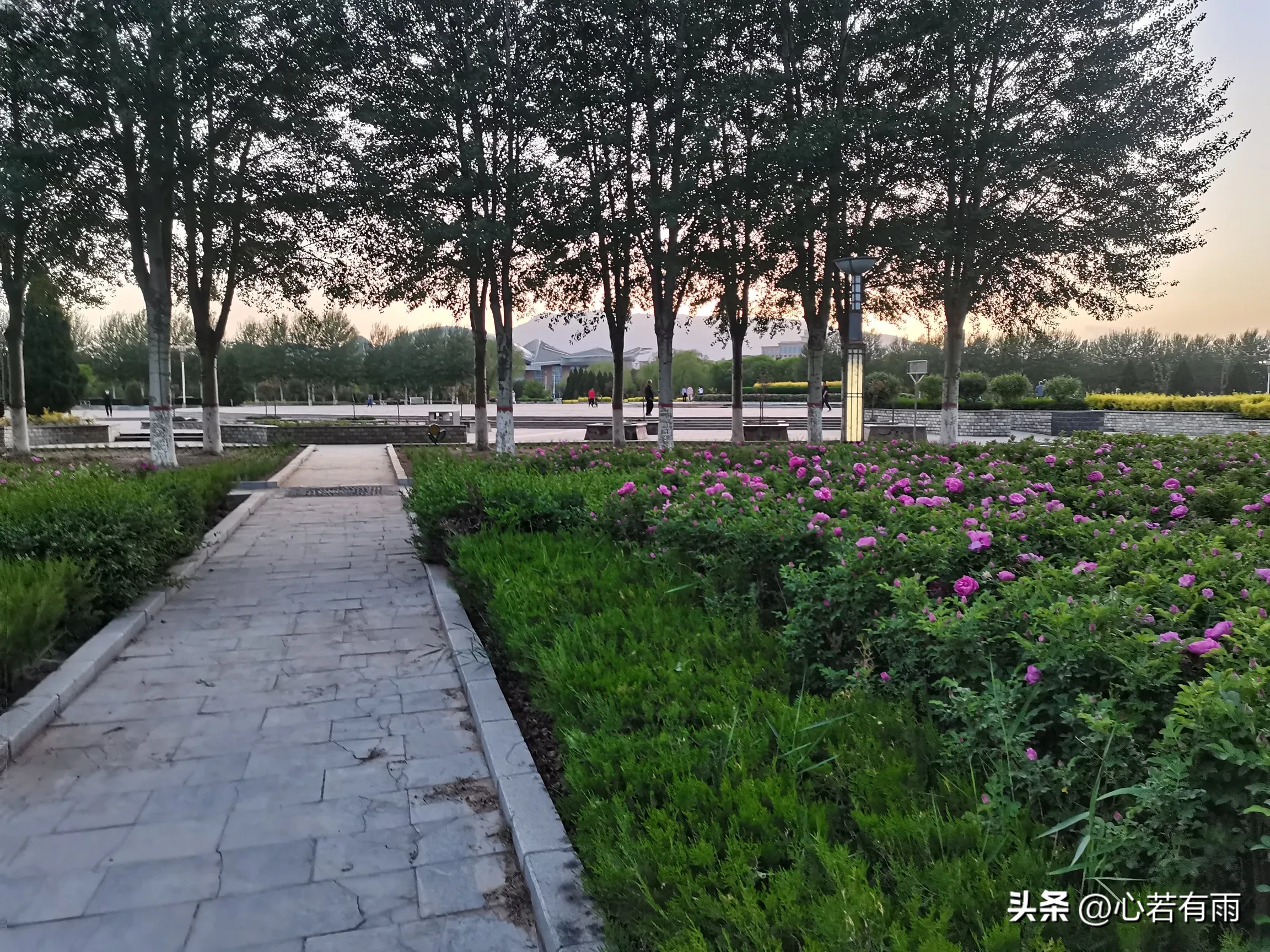 琦玉助手：网络直播带货崛起，实体店面临挑战，人际关系与经济的转变