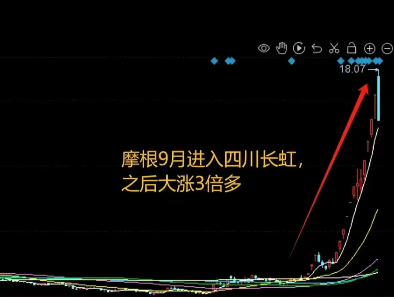 多多留评工具：摩根大通投资贝岭、长虹与川大的深度解析与投资机会指南