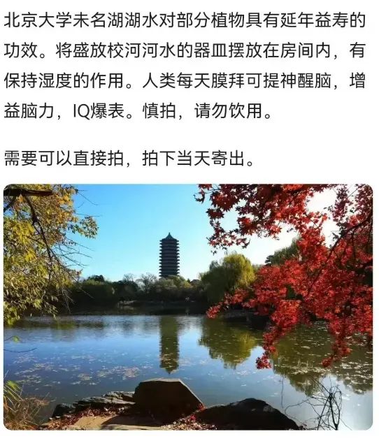 YY助手：清华大学二手食堂餐具热销，紫荆色饭碗仅售88元引发关注