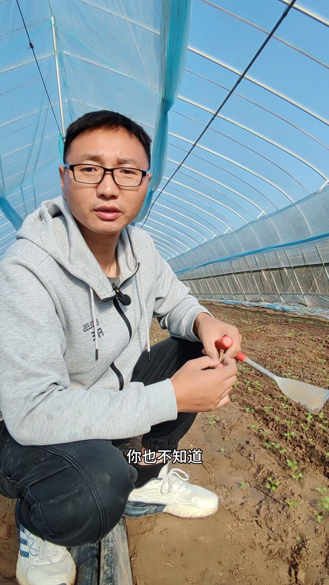 X助手怎么用：如何应对辣椒种植中的常见问题与经验分享