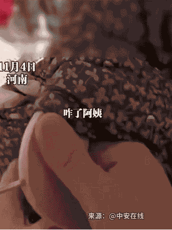 易评助手：童装退货引争议，老人要求一年后退换遭拒，商家无奈解释