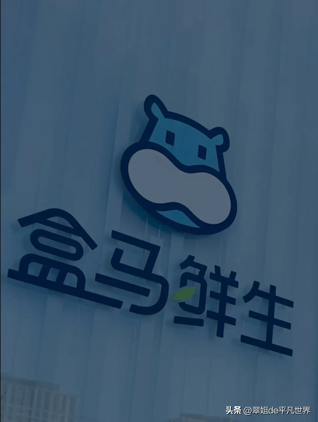 小Q助手使用方法：盒马鲜生首店落户石家庄，引领超市市场新潮流！