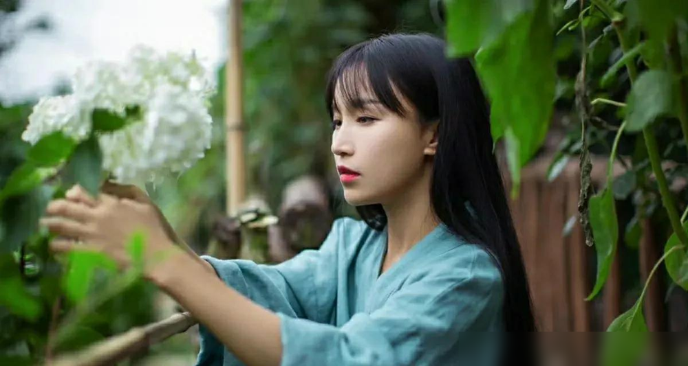 单单助手软件官网：李子柒庭院的“假与真”，理想生活背后的设计哲学与仪式感